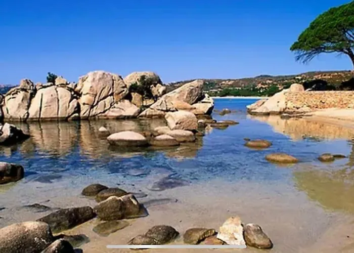 Apartamento Trés Bel De 105 M2 Et 45 M2 De Terrasse à 100 M Du Port *